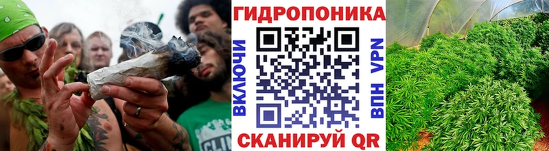Продажа наркотиков Плёс Cocaine  Alpha-PVP  Марихуана  ГАШИШ 